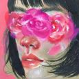 Falling Blossoms