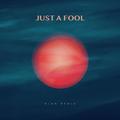 Just A Fool (NLSN Remix)