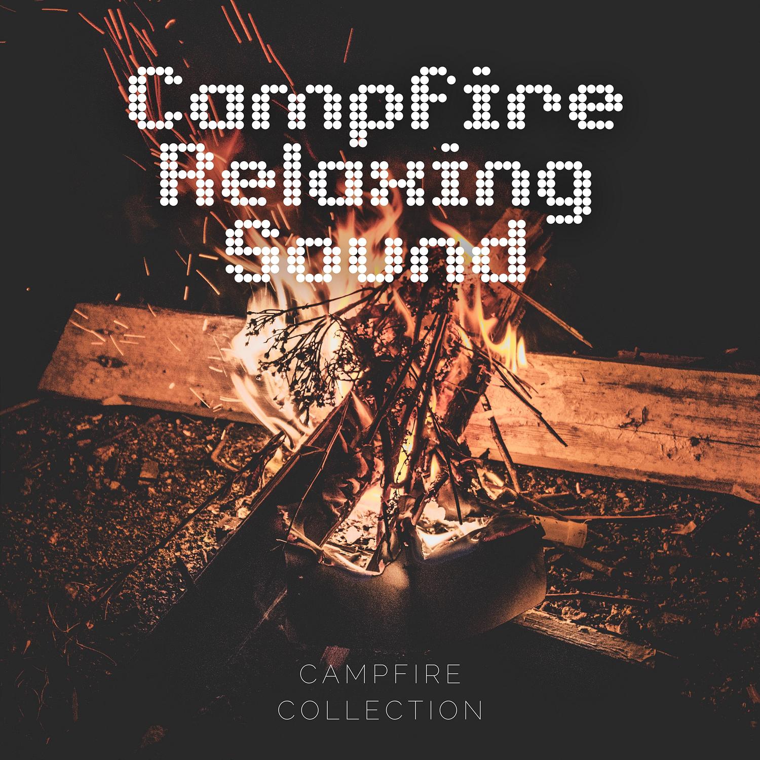 Campfire Collection - Harmonious Crows