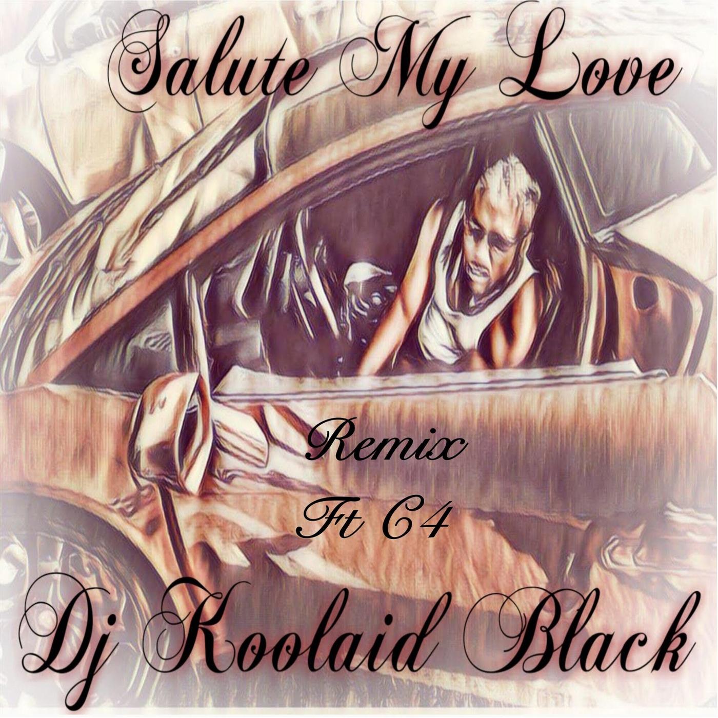 Salute My Love (Remix)