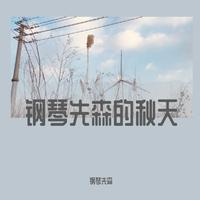 肖邦第二钢琴协奏曲 Ⅰ 交响伴奏(慢速练习版)