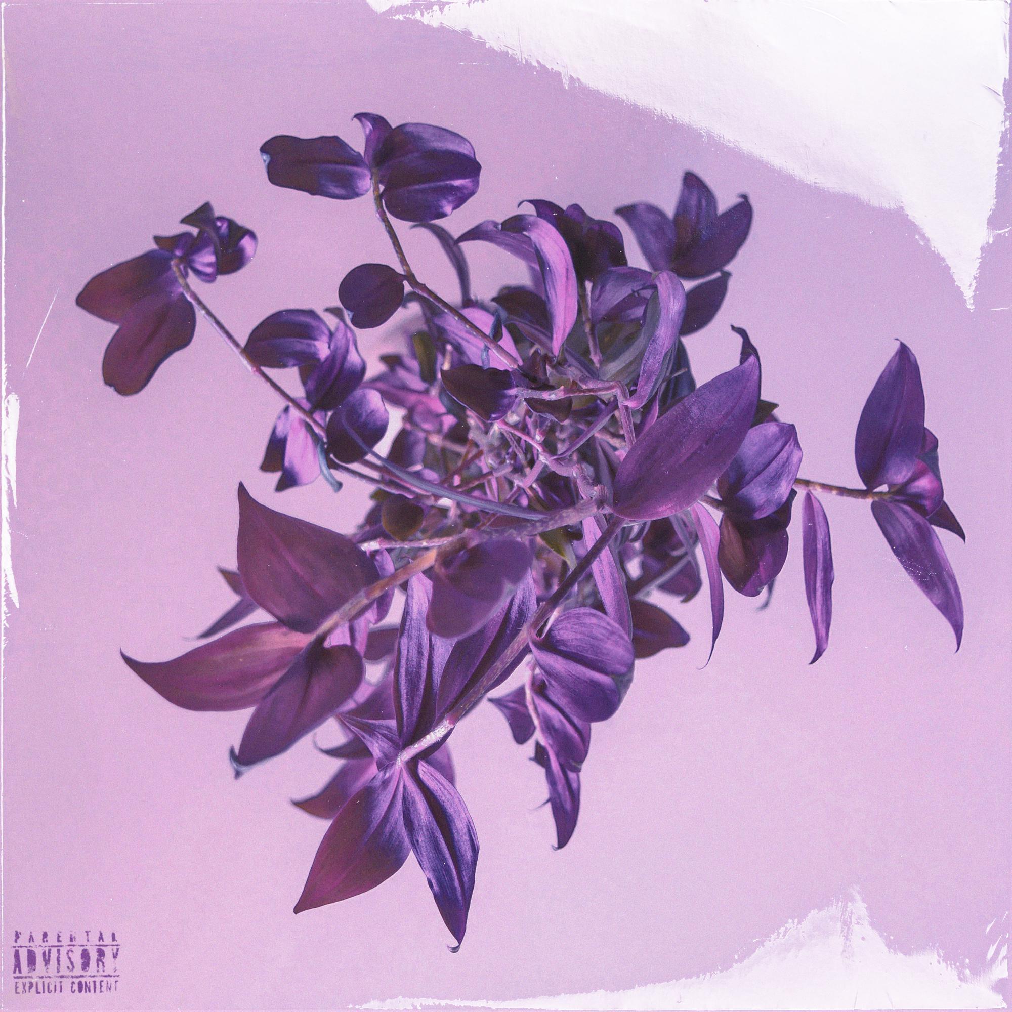 Baby Don't Cry(Prod. farber)