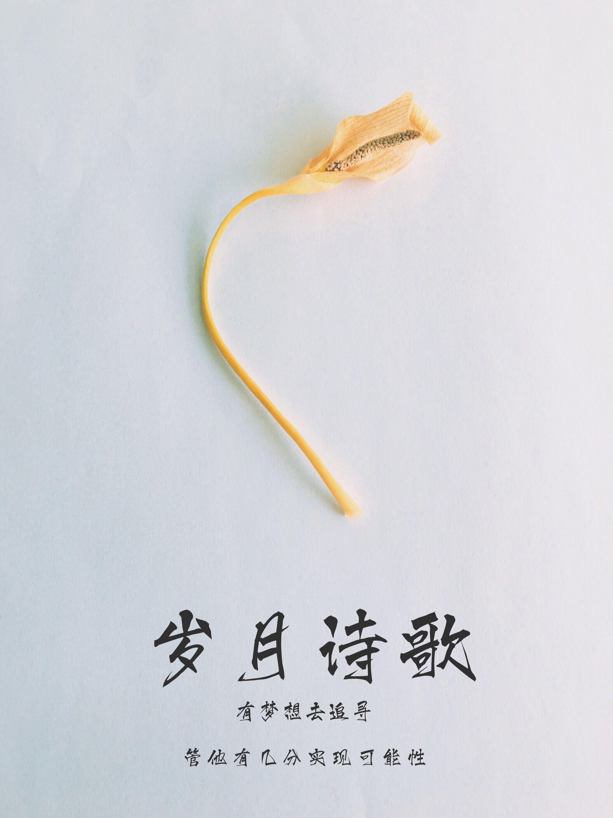 岁月诗歌 cover