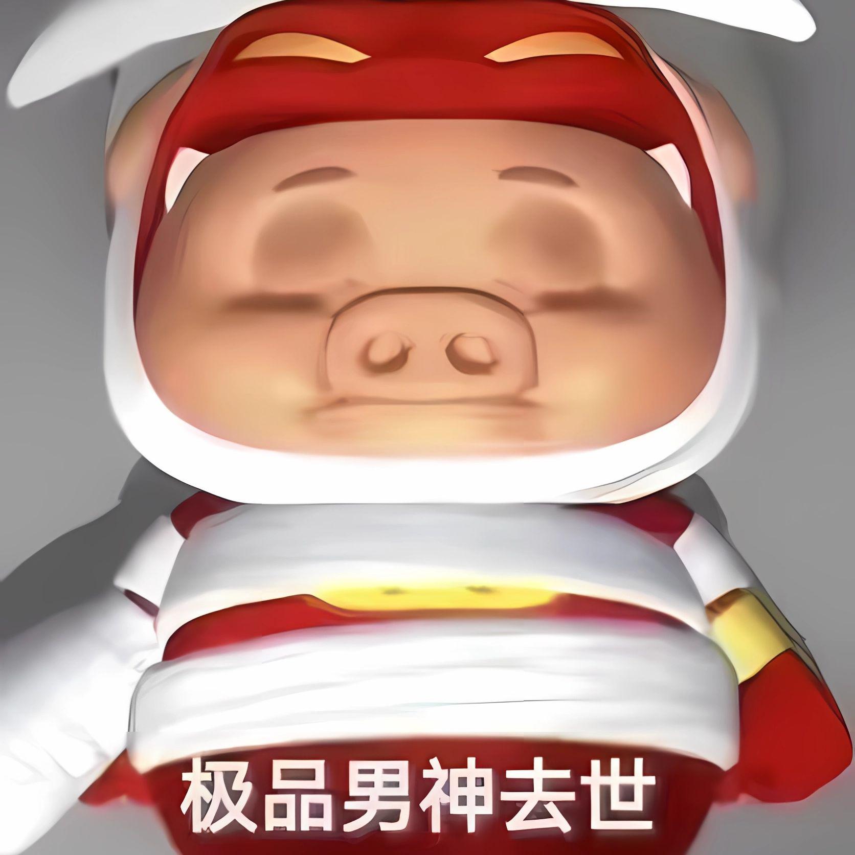 猪猪侠