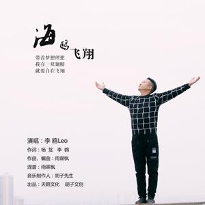 李鸥 - 海鸥飞翔(原版立体声伴奏)版本2 （降1半音）