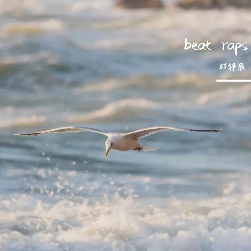 beat raps