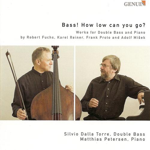 Double Bass Sonata:I. Allegro energico