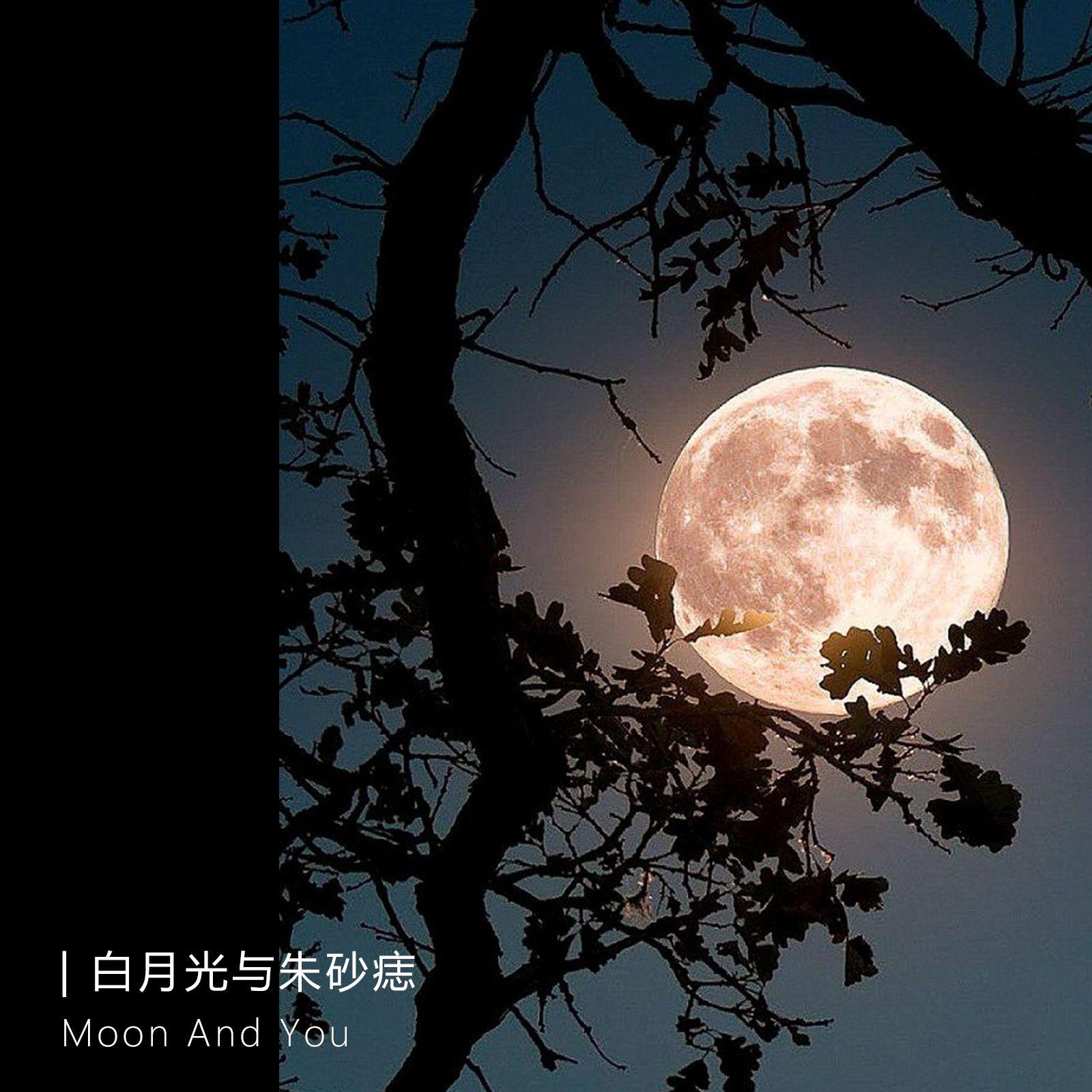 白月光与朱砂痣