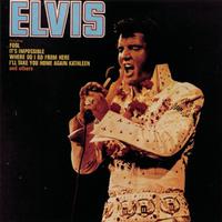 Elvis Presley - American Trilogy ( Karaoke ) (1)