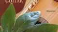 30 Relaxing Classical Flute & Guitar Masterpieces (Classical & Spanish Guitar & Flute for Relaxation专辑