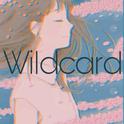 Wildcard（绘师岸田Bootleg）专辑