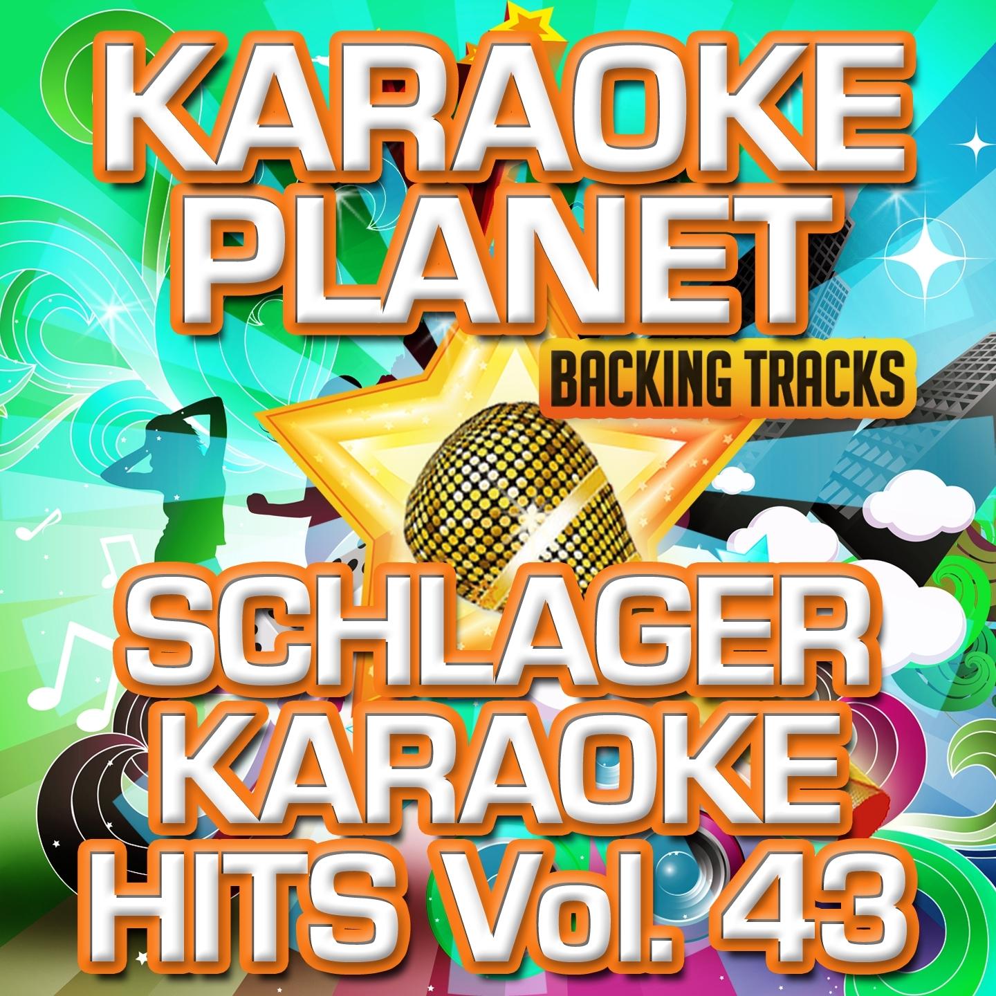 Schlager Karaoke Hits, Vol. 43