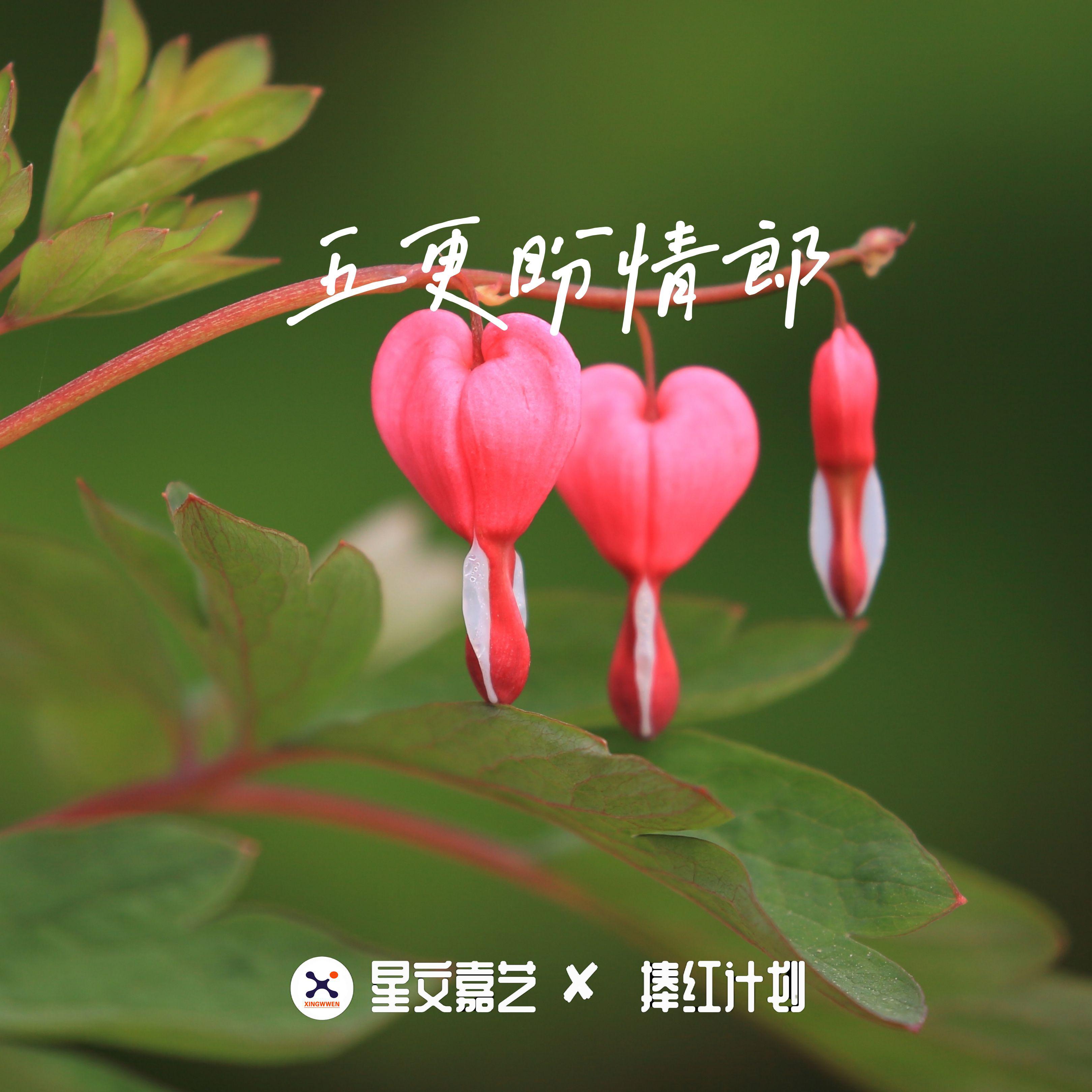 五更盼情郎