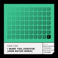 I Want You (Forever)(Josh Butler Remix)