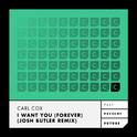 I Want You (Forever)(Josh Butler Remix)专辑