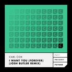 I Want You (Forever)(Josh Butler Remix)专辑