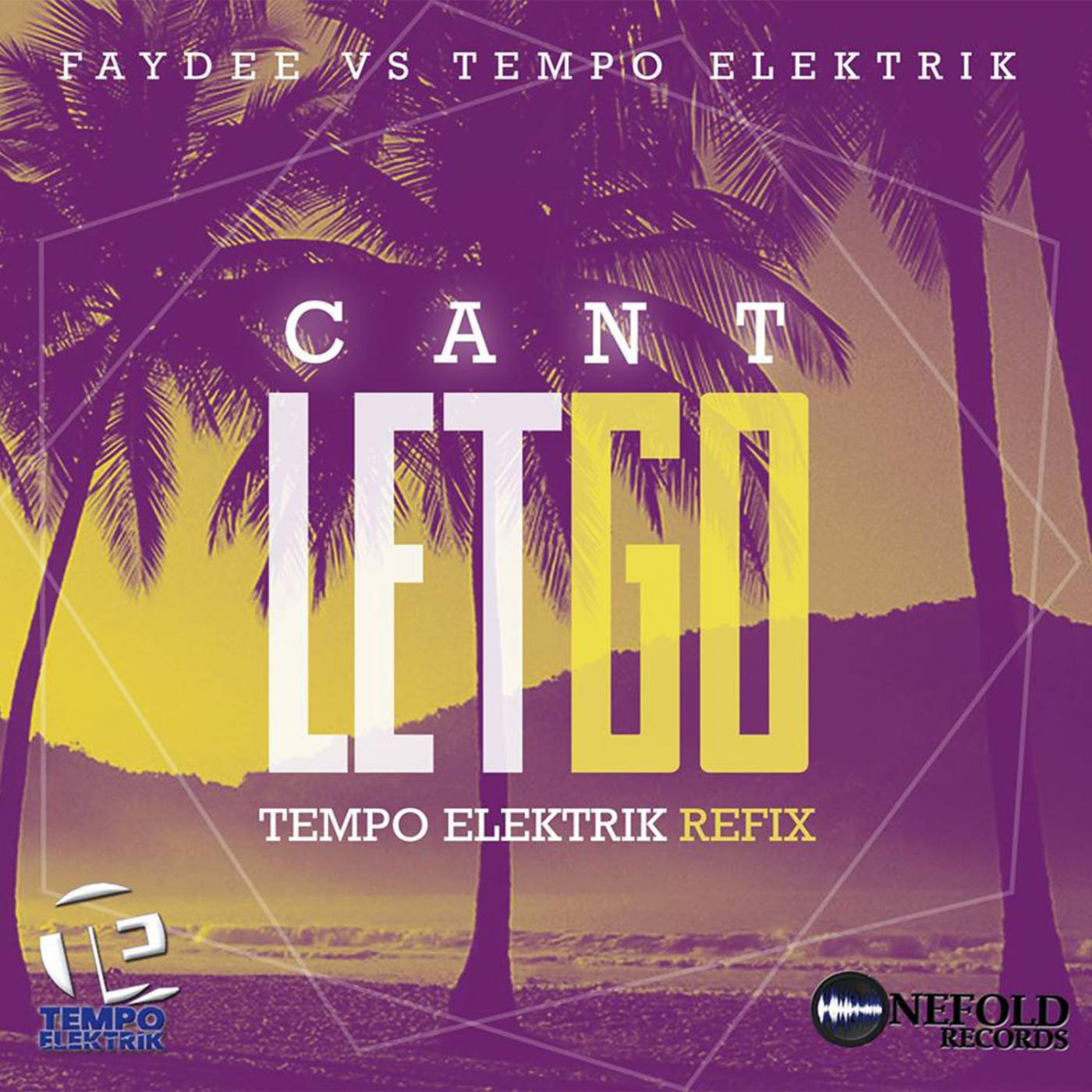 Faydee - Can't Let Go (Faydee Vs Tempo Elektrik) (Tempo Elektrik Refix)