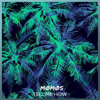 TROPICAL HOUSE