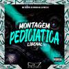 DJ MENOR DS - Montagem Pediciática Libenal