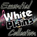 Essential White Plains Collection