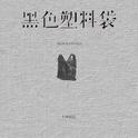 黑色塑料袋 (DJ西米版)专辑
