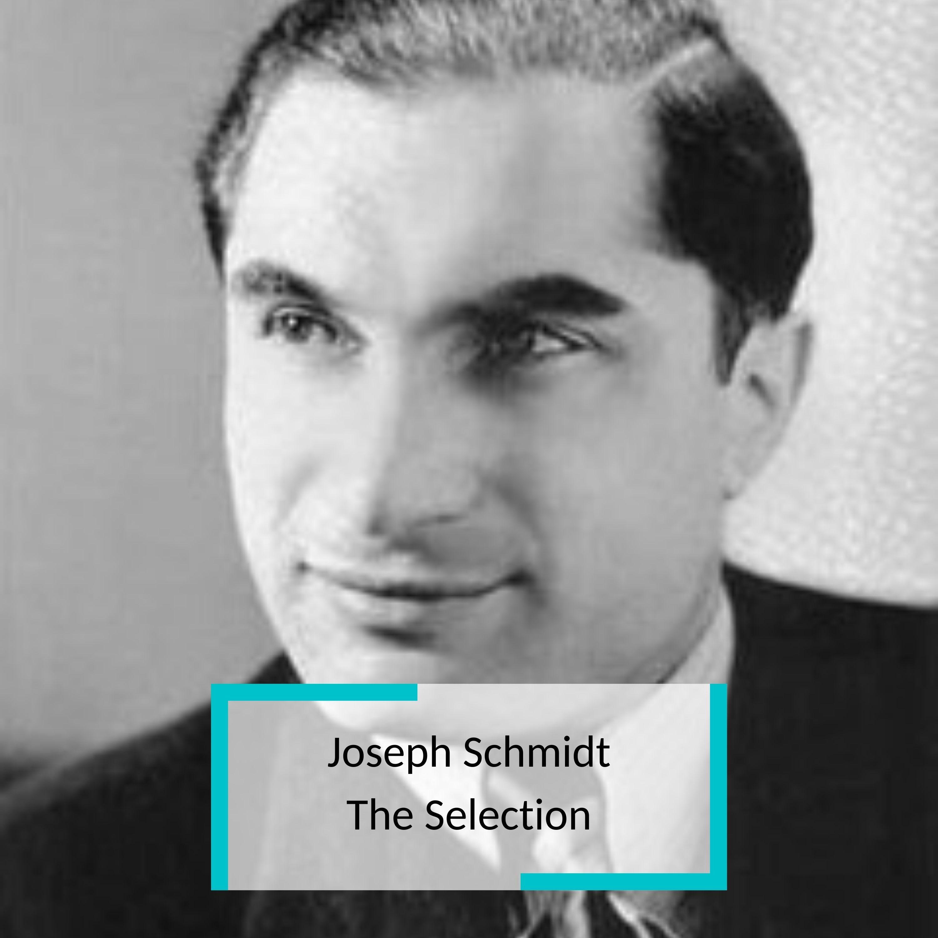 Joseph Schmidt - The Selection