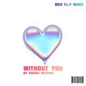 Without you [remix Higher knowknow]