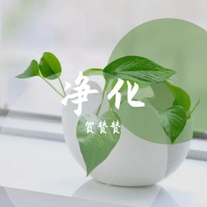王琪 - 清水河往事 【伴奏】 （降1半音）