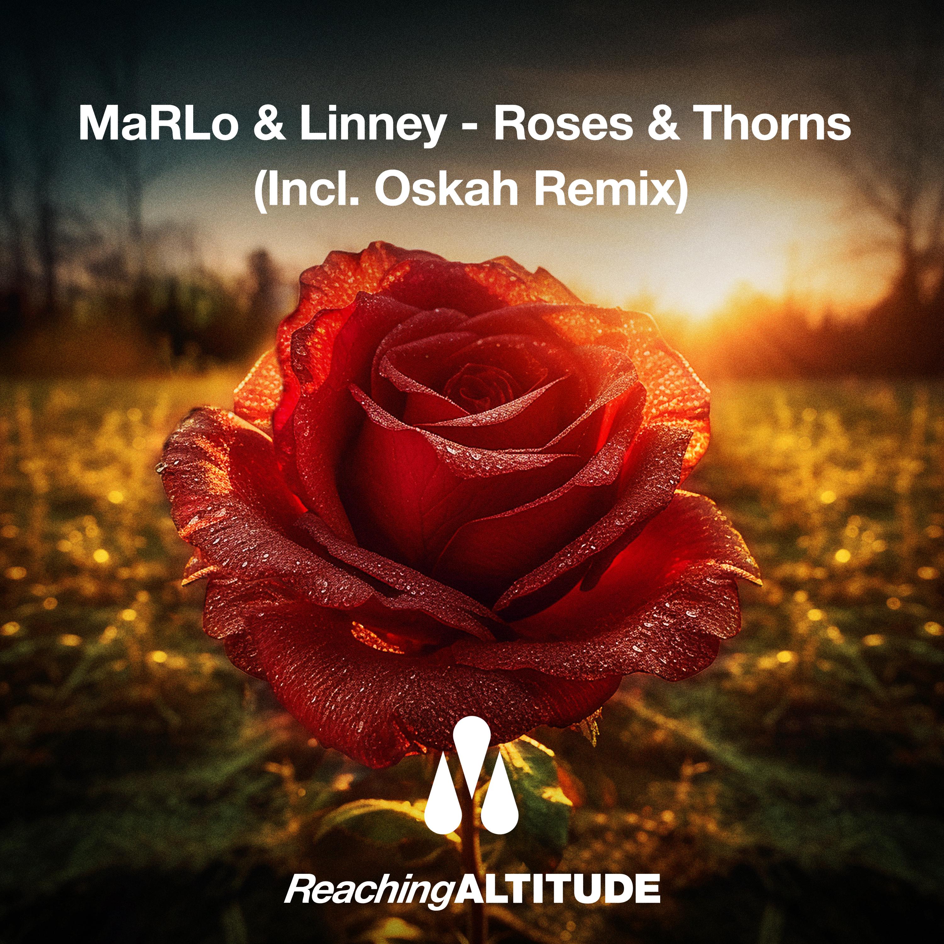 MaRLo - Roses & Thorns