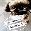 Terry Williams - Deep 001 (Original Mix)