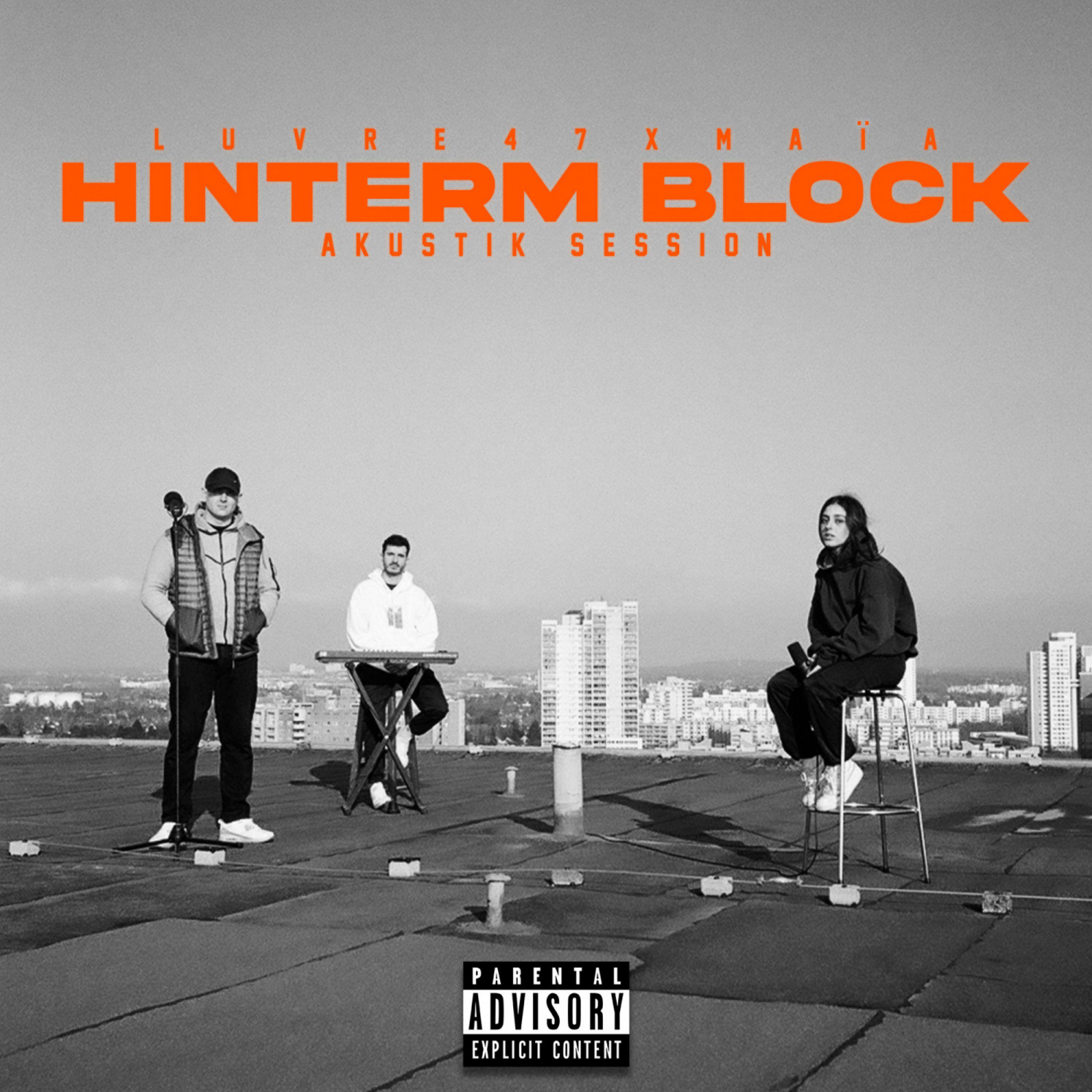 Luvre47 - Hinterm Block