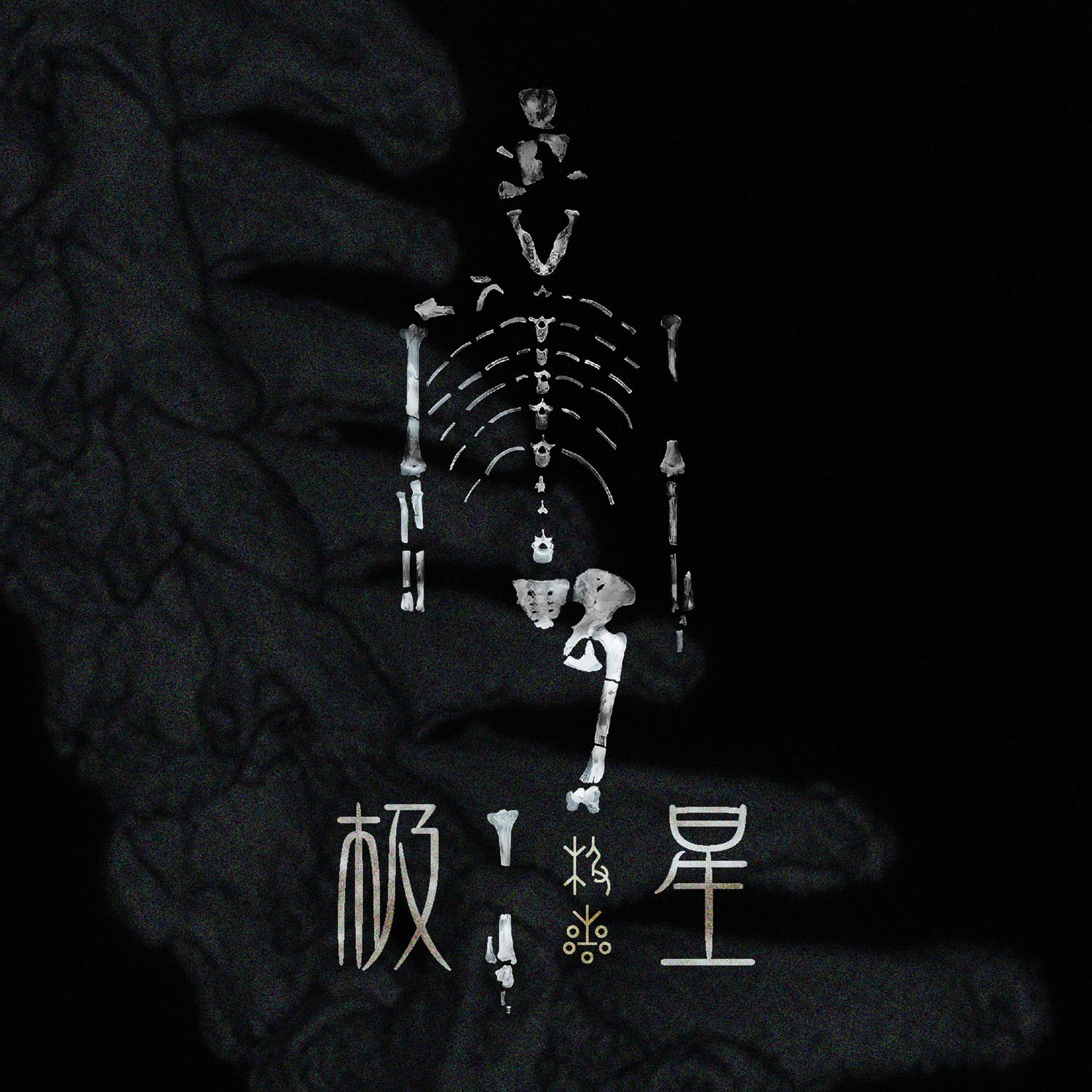 极星