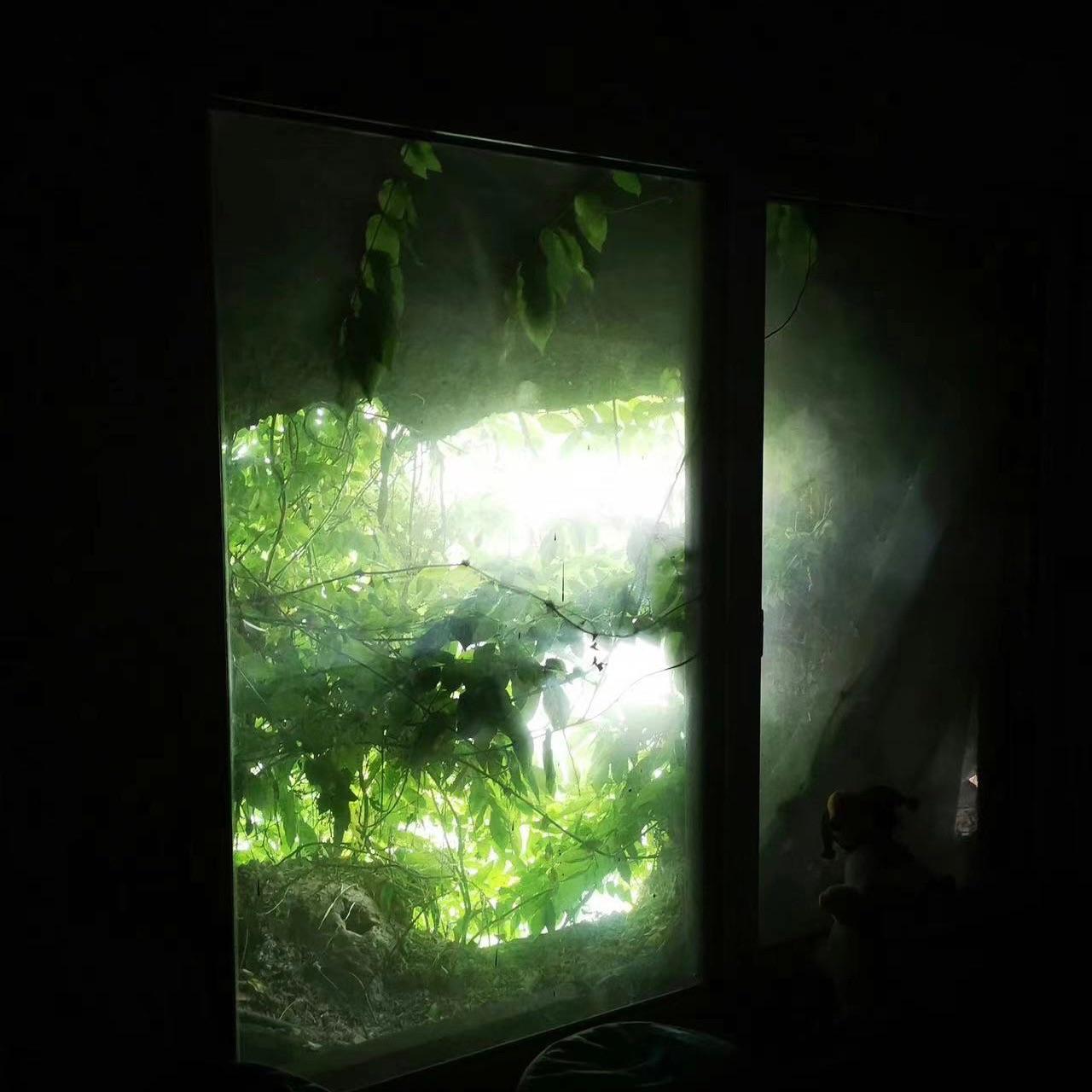相逢如骤雨初晴