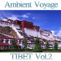 Ambient Voyage: Tibet, Vol. 2专辑