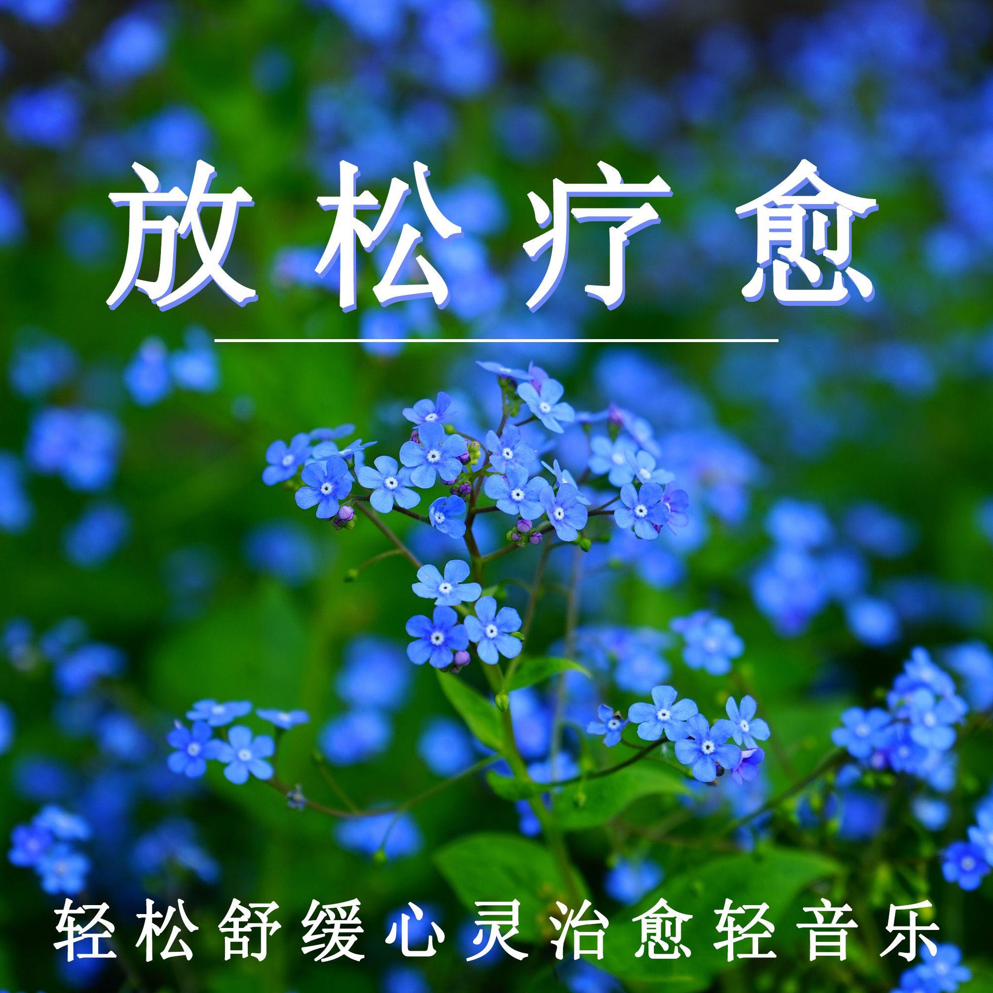 轻轻放松（轻音乐）