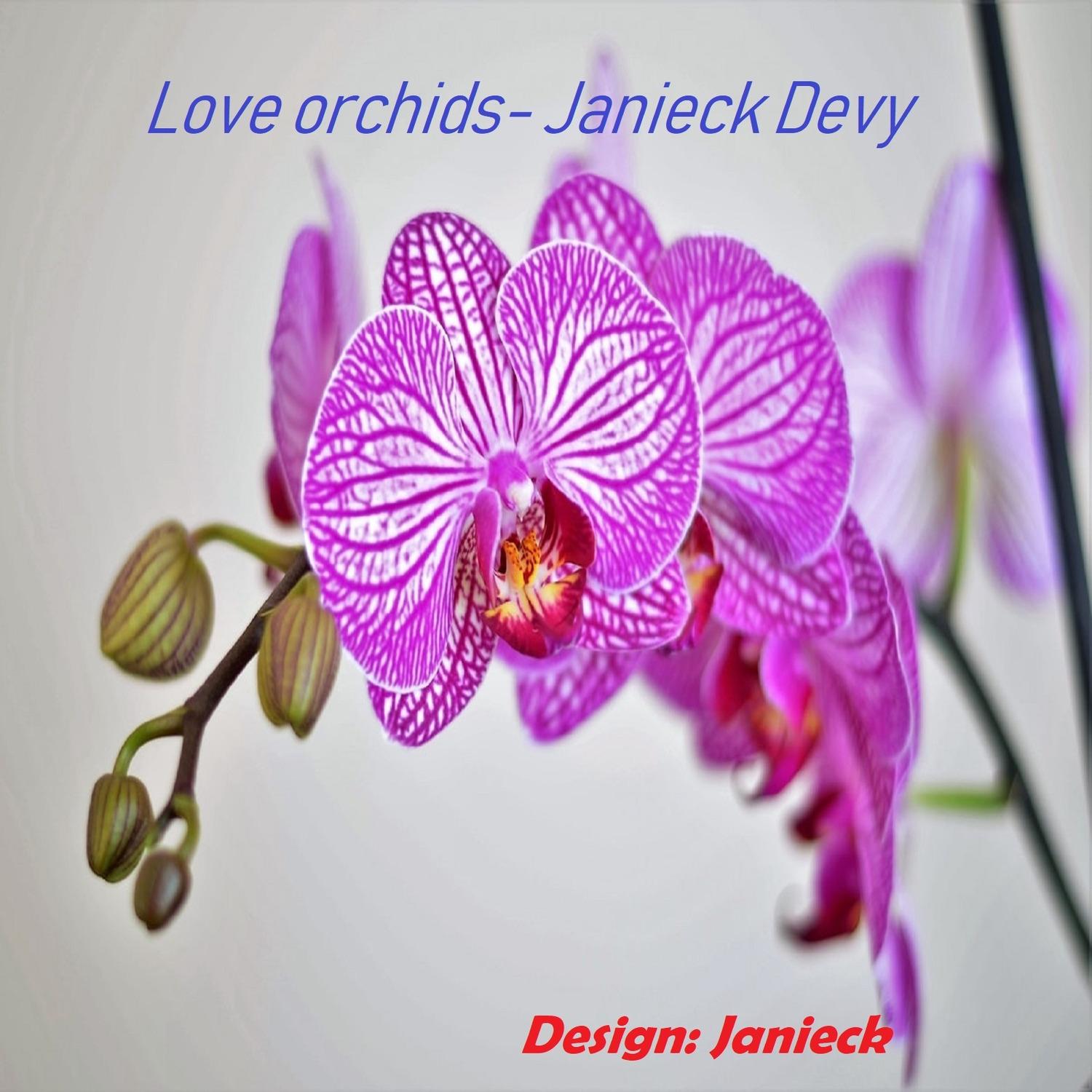 Love Orchids