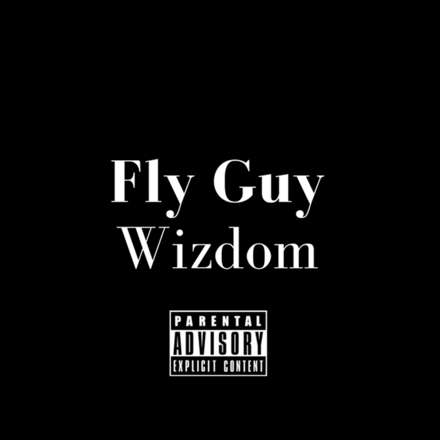 Fly Guy