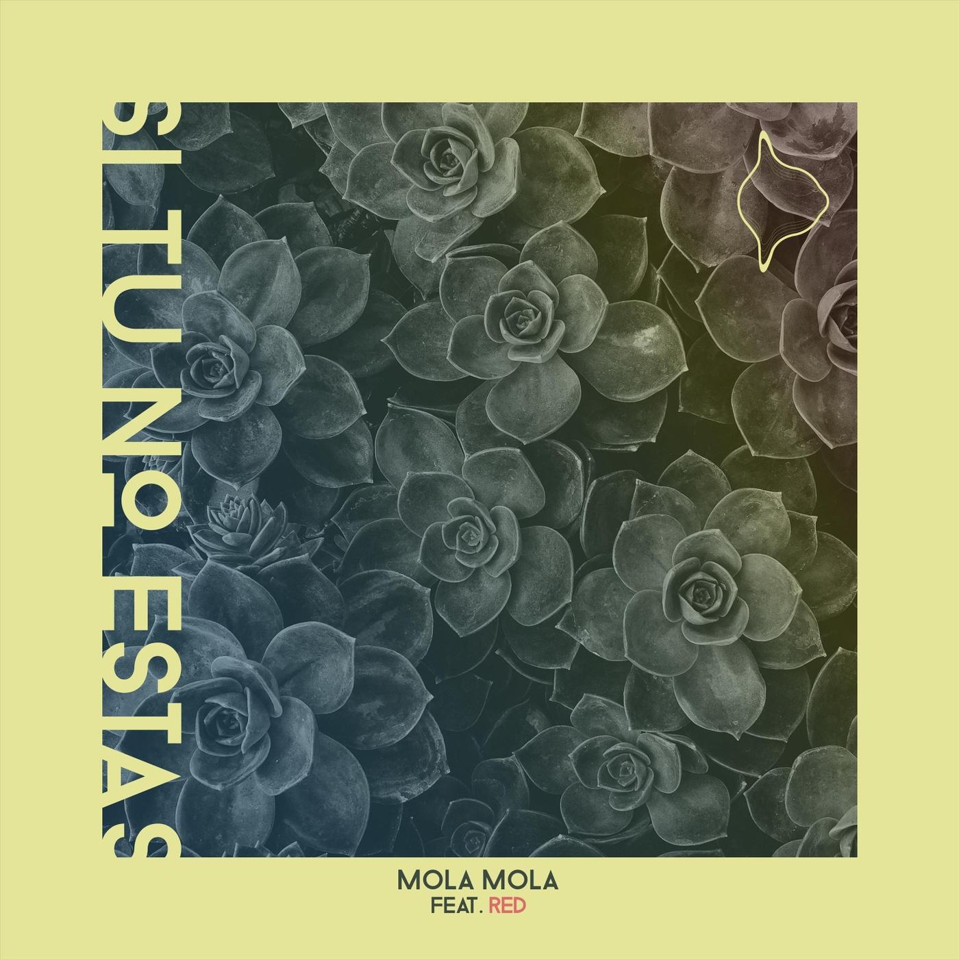 Si Tu No Estas (feat. Red)