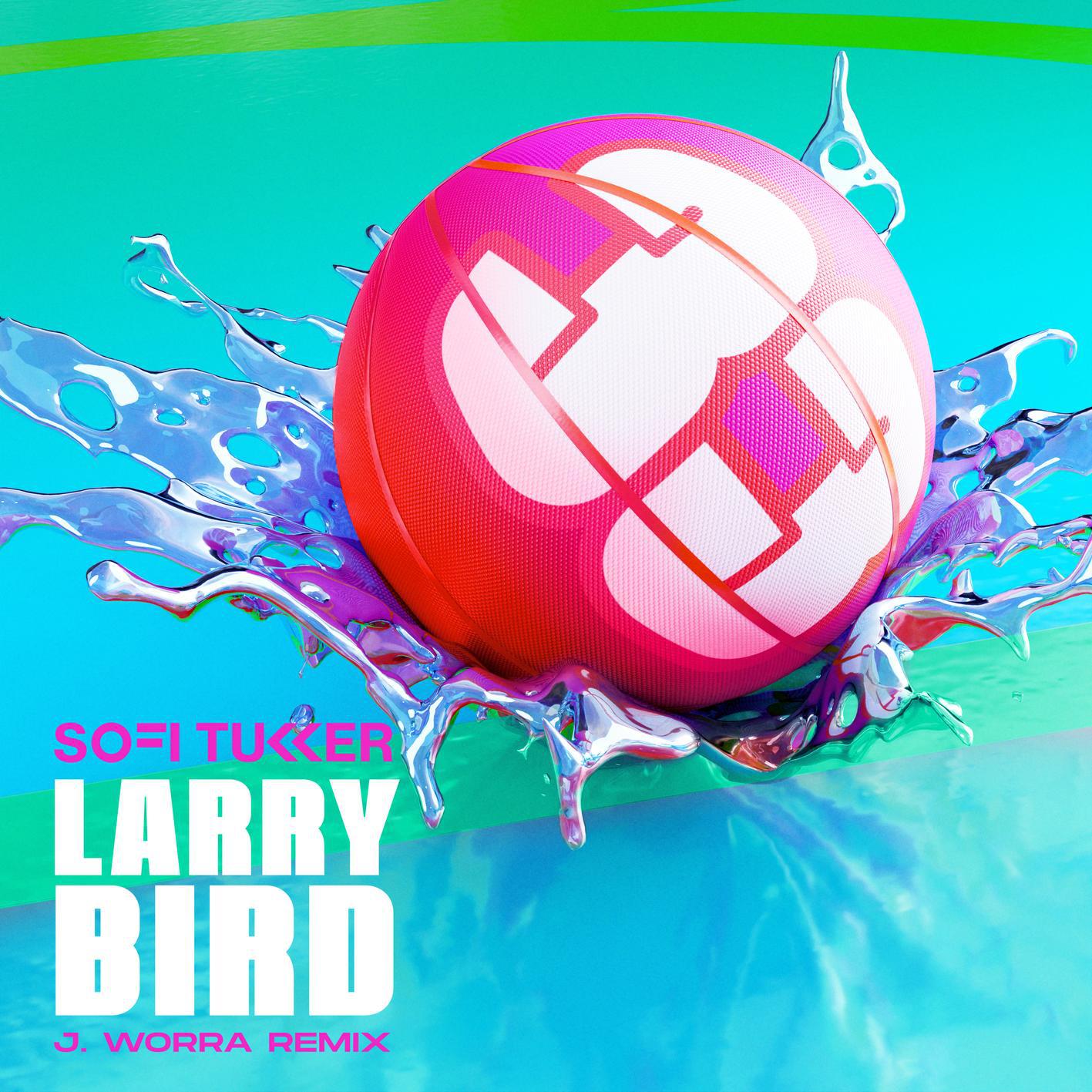 Sofi Tukker - Larry Bird (J. Worra Remix)