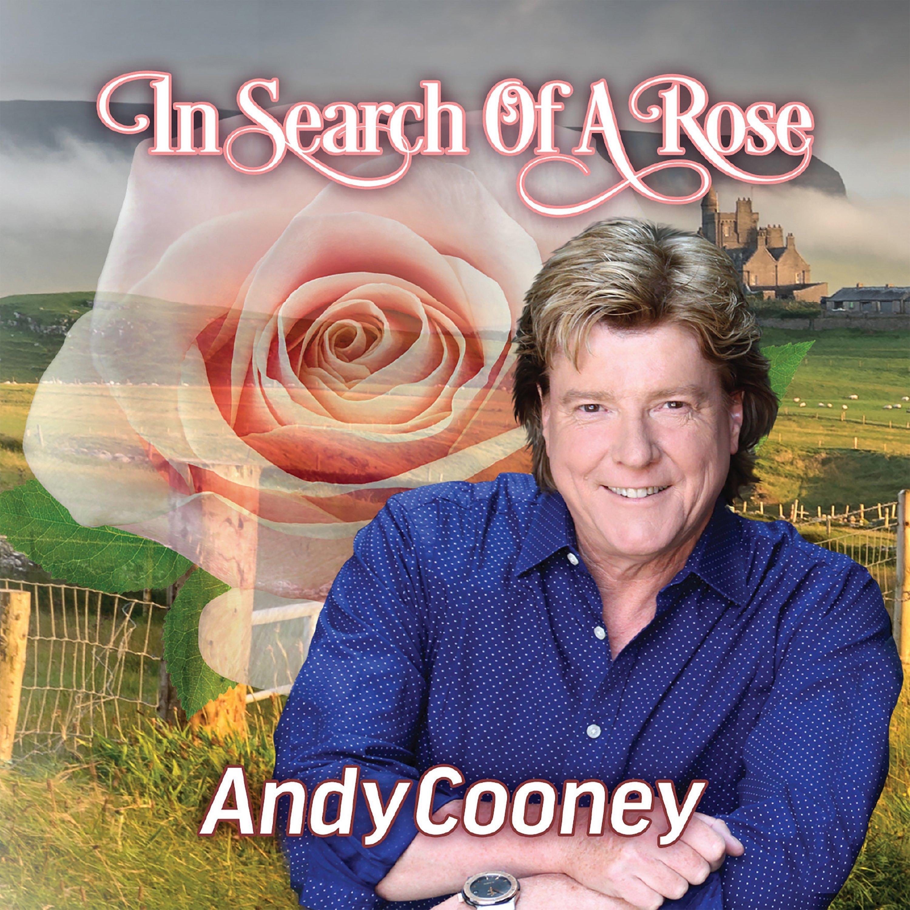 In Search Of A Rose