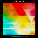 Disarm You (Remixes)  专辑