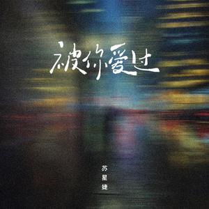 苏星婕 - 被你爱过 （降2半音）