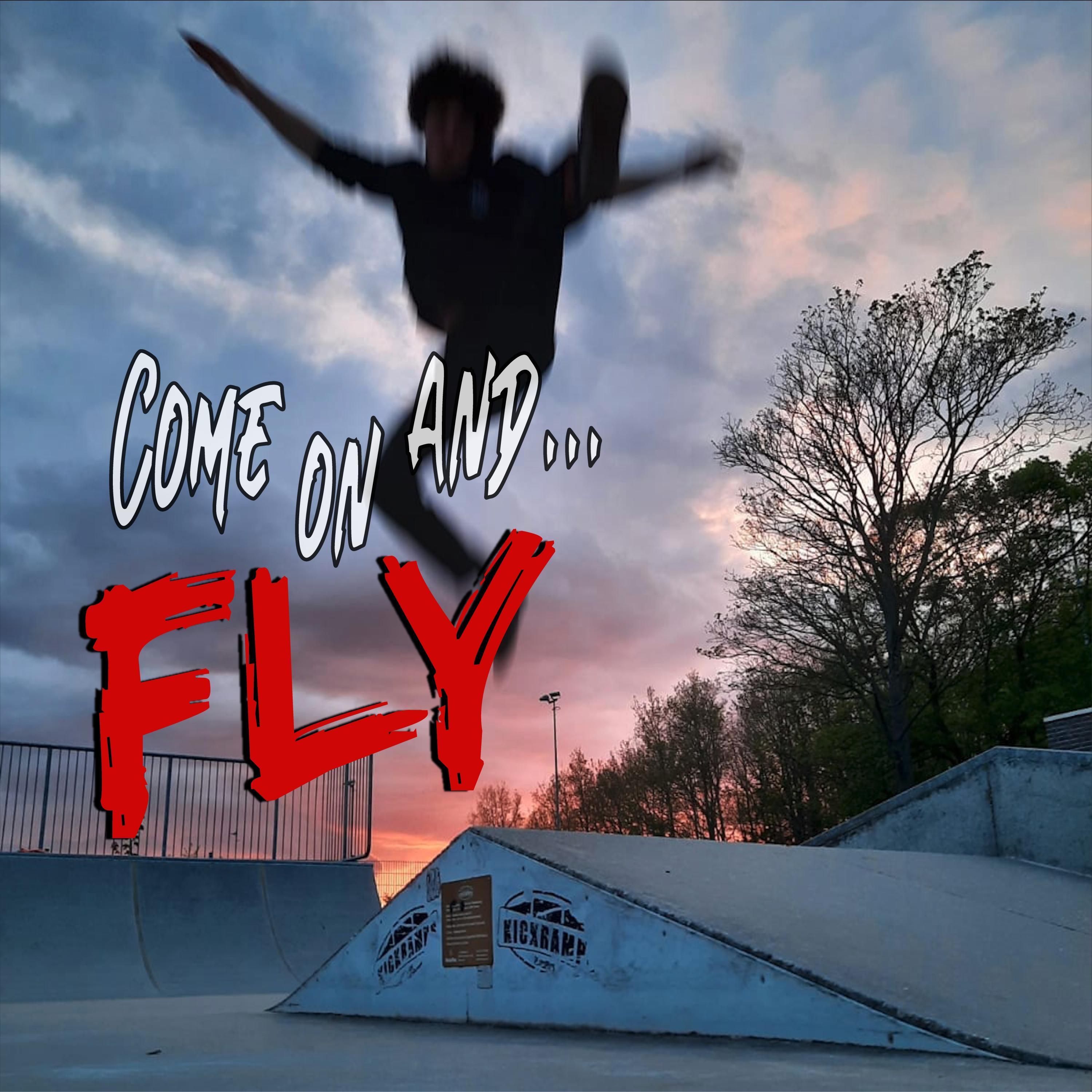 Fly