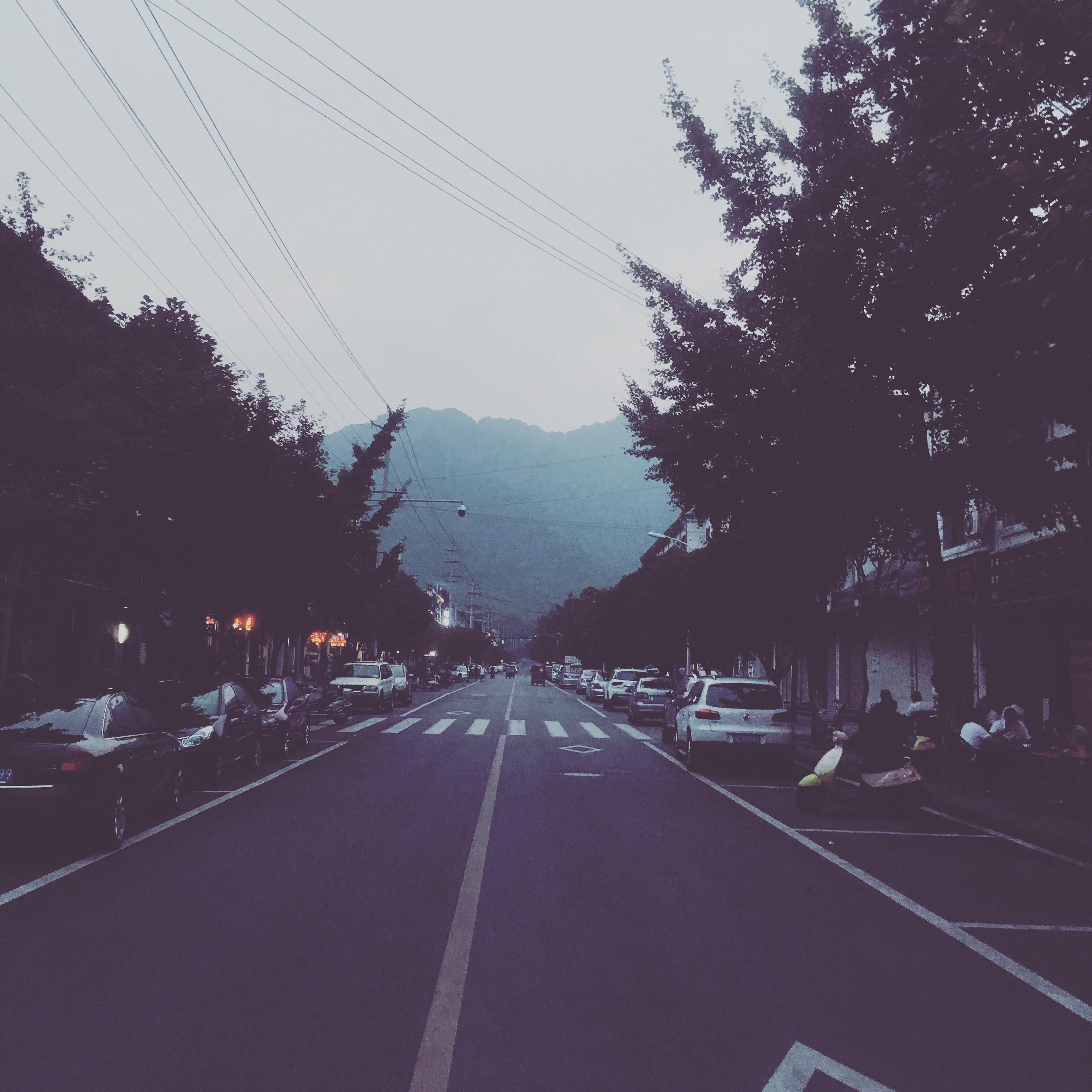 脱笼鸟专辑