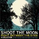 Shoot The Moon Right Between The Eyes专辑