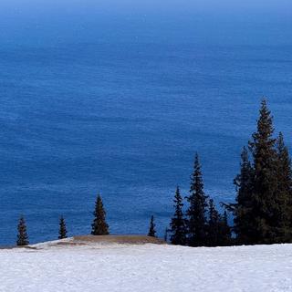 欧美小调｜沉浸于舒心的治愈小调