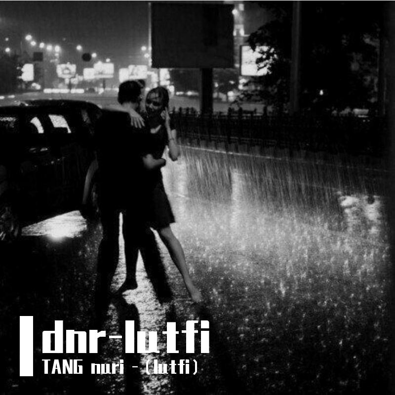 dnr-lutfi