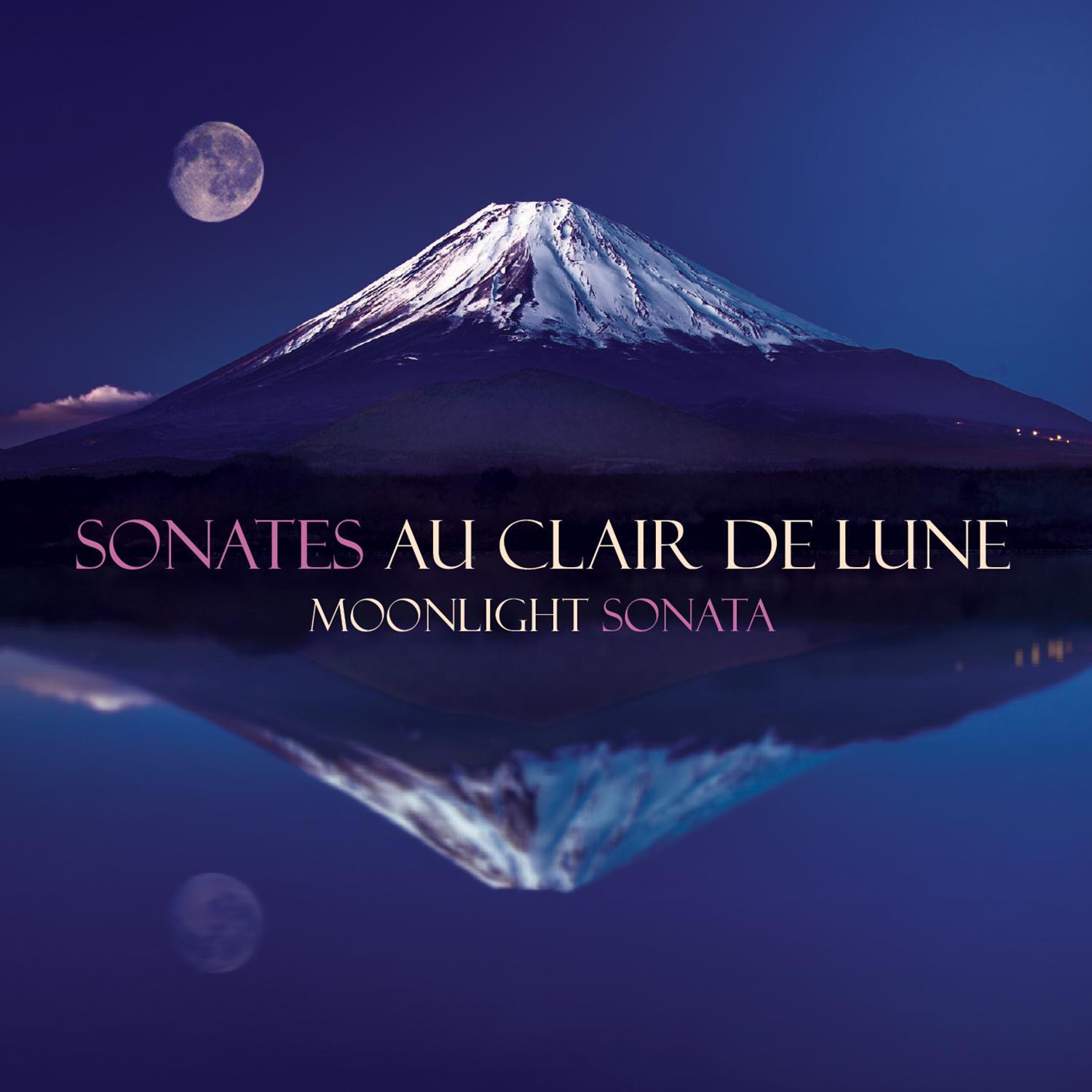 Moonlight Sonata (Sonates Au Clair De Lune)