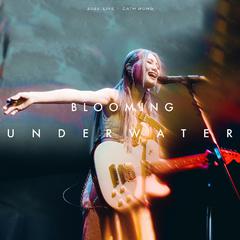 两个月亮 (Blooming Underwater Live 2023)