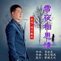 明月微风 - 雪夜相思情 (三步卡)